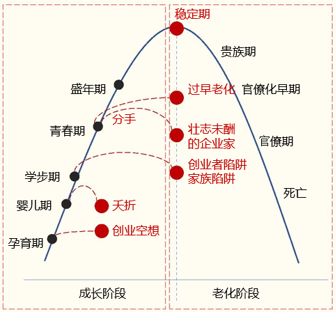 企业,创业者,稳定期